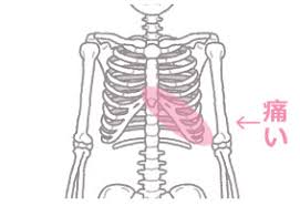 左下 痛い の 肋骨 が みぞおち（上腹部）の左側や中央が痛む原因はなに？